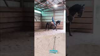 Kim & Maverick #2 042926