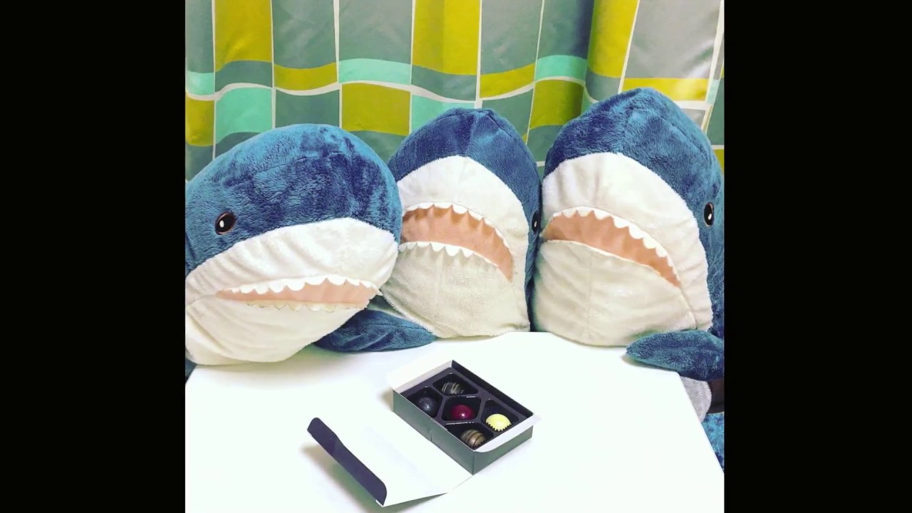 shark from ikea