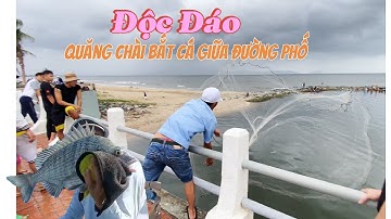 Độc đáo thanh niên quăng chài bắt cá giữa đường phố Đà Nẵng bách phát bách trúng