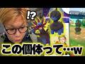モノズ大量コミュニティデイ!!!復刻だけど楽しいもんは楽しい!!色違い!!100%!こい!!【ポケモンGO】