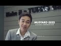 Mustard seed systems corporation  oracle netsuite  turks testimony