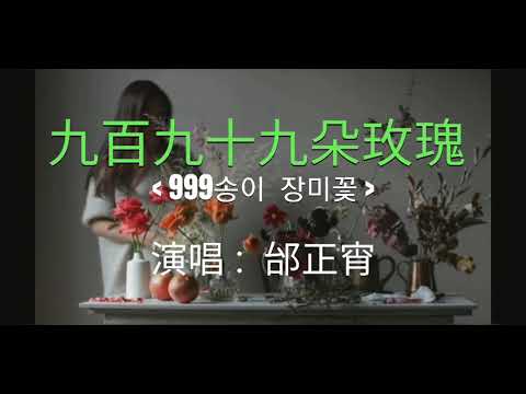 九百九十九朵玫瑰  999송이 장미꽃 중국노래번역