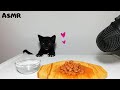 Kitten eating wet cat food ASMR