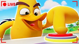 🔴 LIVE Angry Birds | Science Gone Wild
