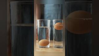 Amazing Egg Experiment | Float or Sink? |#education