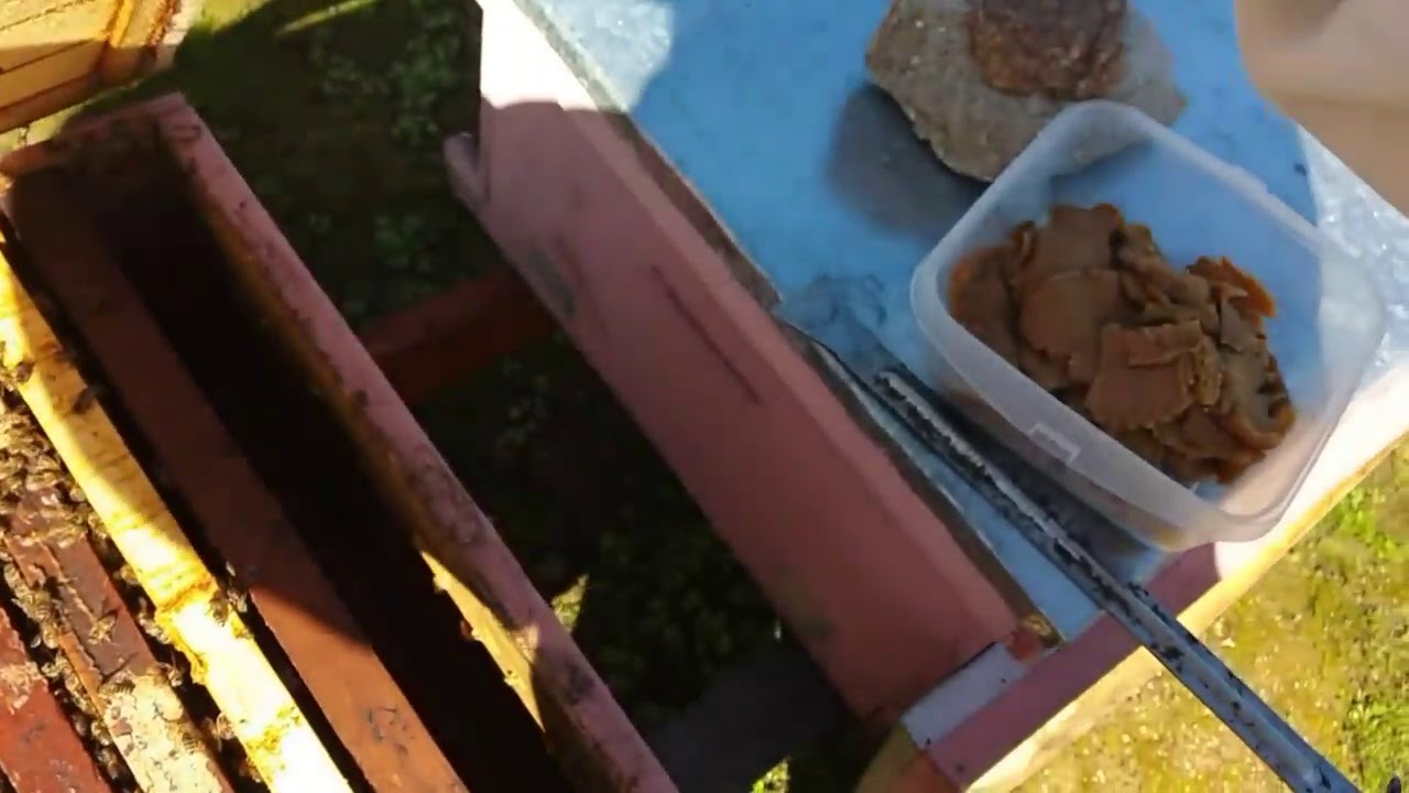 Control de Varroa con Amitraz