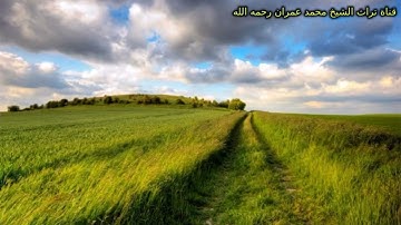 ترتيل من سورة غافر بصوت القارئ وليد شوقي أحمد