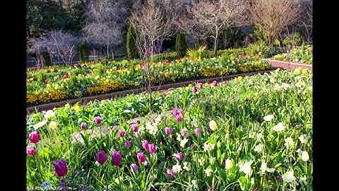 تلاوة خاشعة من سورة الشورى عبدالله الموسى🌱❤