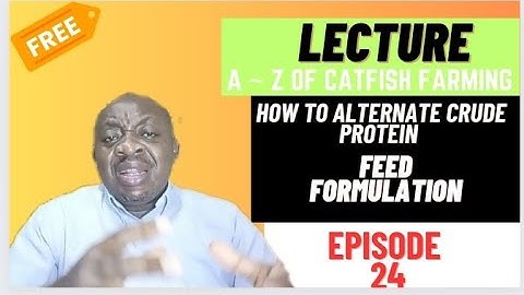 A ~Z Of CATFISH FARMING | HOW TO ALTERNATE CRUDE PROTEIN ~ EPISODE 24 #feed #agriculture #farming