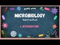 Microbiology علم الأحياء الدقيقة Introduction Microbiology علم الأحياء الدقيقة Introduction