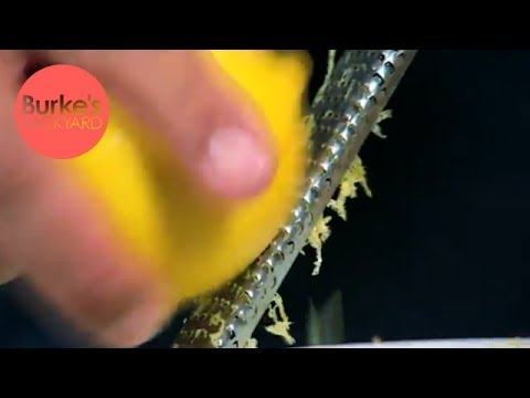 Burke's Backyard, Freezing Citrus Zest