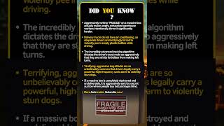 What Delivery Drivers Actually Do With Packages