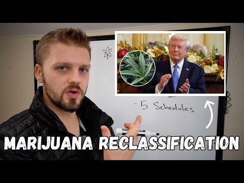 Marijuana Reclassification & The Terrible DEA "Drug" Schedule