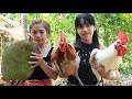 Yummy cooking chicken with jack fruit recipe - Cooking skill