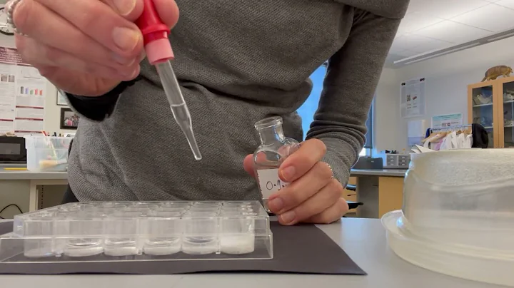 Precipitation Inquiry