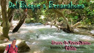 Del Bosque a Benamahoma por el rio Majaceite | Pueblos blancos de Cádiz | Sierra de Grazalema