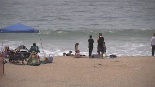 California beach temporarily closed after sharks spotted near shore