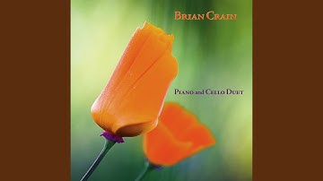 A Walk in the Forest