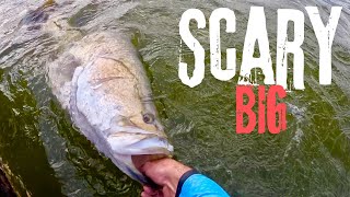 Catching Big Monduran Dam Barramundi