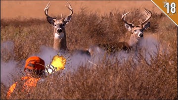 Craziest Whitetail Deer Hunt We