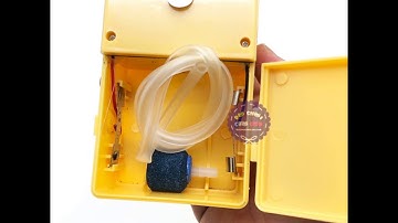 CÁC BƯỚC CHUẨN BỊ ĐỂ NUÔI CÁ RỒNG NGÂN LONG & CÁC LOẠI CÁ SĂN MỒI NÓI CHUNG.