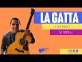 La Gatta - Gino Paoli - Chitarra