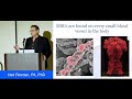 Stem Cells: Their Role in Aging and in the Treatment of Chronic Diseases - Neil Riordan, PA, PhD