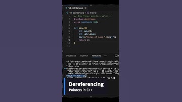 Dereferencing Pointers in C++ | Quick Guide for Beginners #programming  #shorts