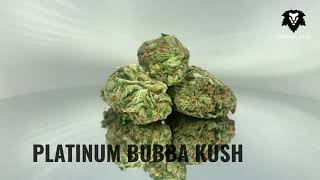 Chronic Haze - Platinum Bubba Kush