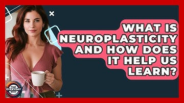 What Is Neuroplasticity And How Does It Help Us Learn? - The Everyday Why