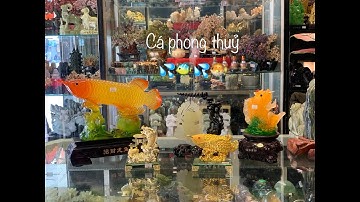 [Vật phẩm phong thuỷ] Cá chép phong thuỷ - biểu tượng của tài lộc dồi dào !!!