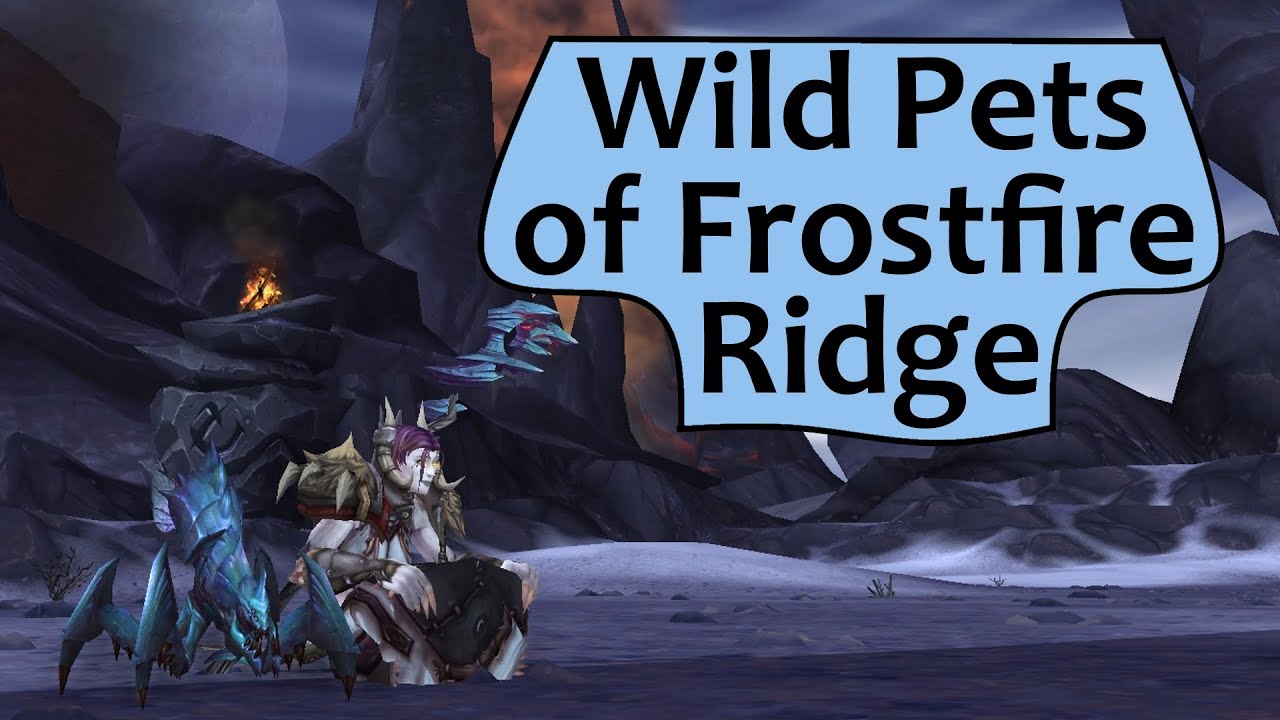 Wild Battle Pets of Frostfire Ridge Draenor Safari Guide YouTube