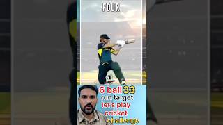 cricket stop challenge | 33 run challenge | cricket