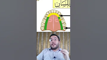 المخرج 8 مخرج حرف الضاد باختصار 