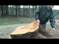 From Burl To Block: The Story of Your Wood From Burl To Block: The Story of Your Wood