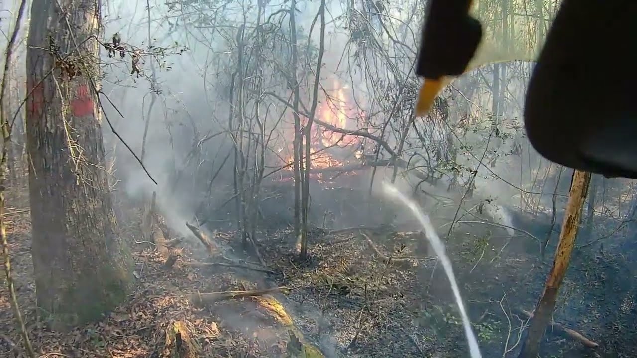 Woods Fire (02/01/25)