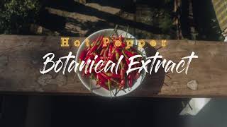 How to make Hot Pepper Insecticide