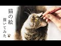 【水彩・アクリル画】猫の絵を描いてみた／Painting a cat【かいわれ】