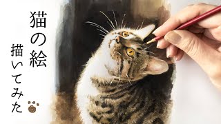 【水彩・アクリル画】猫の絵を描いてみた／Painting a cat【かいわれ】