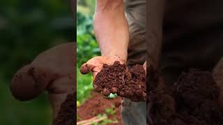 Khetika biostimulent agriculture application 🌱🌾