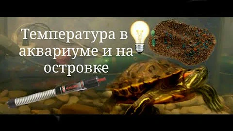 Температура в воде и на островке у красноухих черепах! / ЧЕРИ TV