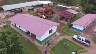 Aloe Vera Farming Operation Fusagasuga - Drone View 2