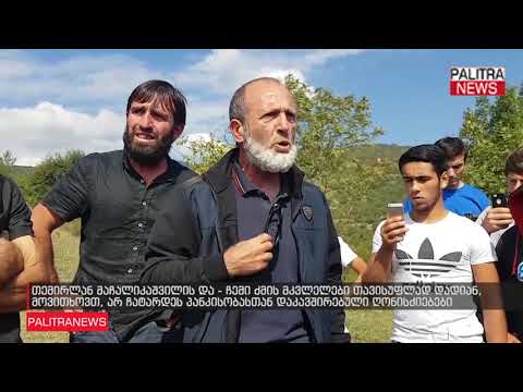 თემირლან მაჩალიკაშვილის და - ჩემი ძმის მკვლელები თავისუფლად დადიან