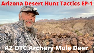 How To hunt Arizona OTC Mule Deer; Desert Tactics # muledeerhunting #arizonahunting #archeryhunting