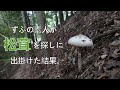 松茸 ずぶの素人に、松茸は採れるのか?