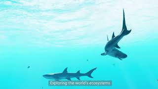 Arcade The Sustainability Land On Partynite