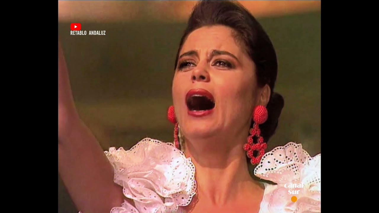 María Vidal | Fiebre de sur (1993)