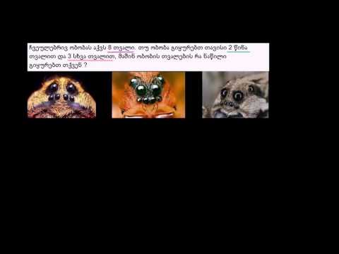 ამოცანა წილადებზე: ობობის თვალები