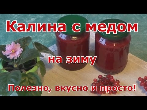 Протертая калина с медом на зиму  Очень полезно, вкусно и просто