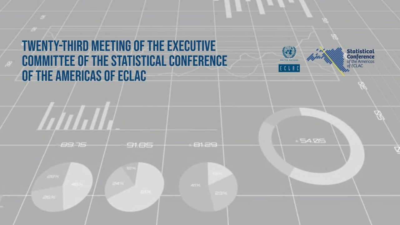 XXIII MEETING OF THE EXECUTIVE COMMITTEE OF THE STATISTICAL CONFERENCE ...